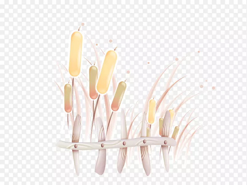 ����դ����ͨʸ���ز�-������