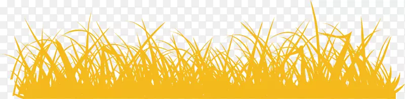 ����С������С��-������