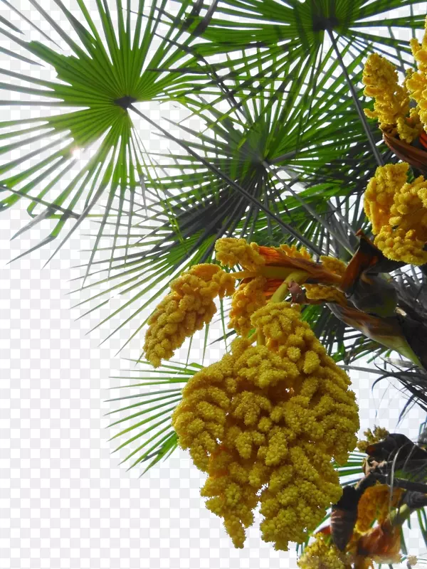 ����������-������