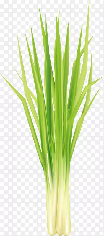 ����ˮ�ʷ��ʸ�����ʲ�-������