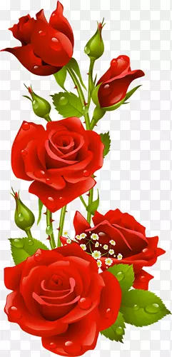 ���˽�-������