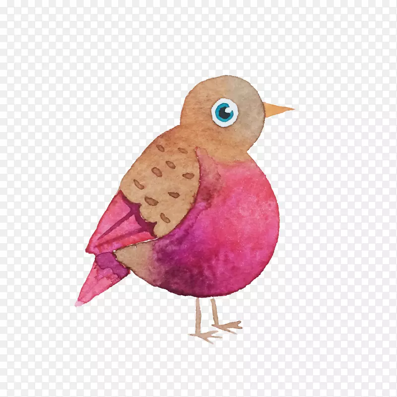 ��ͨ��ɫС��-������