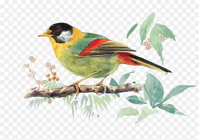 ˮ��С��-������