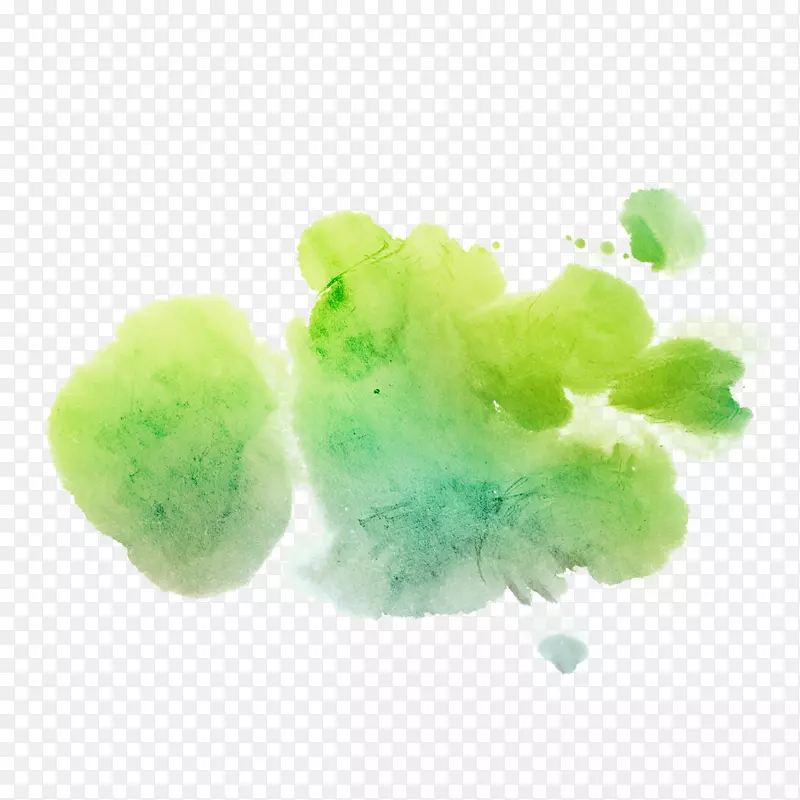 ˮ�ʺ�Ҷ-������