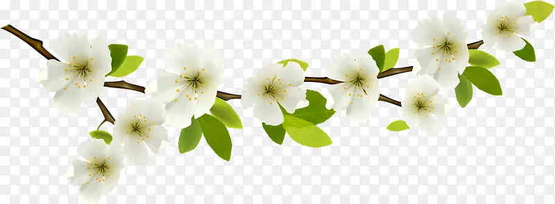 һ֦�׻�-������