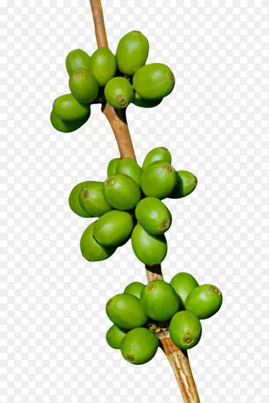 ��ɫû����Ŀ��ȹ�ʵ��-������