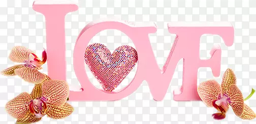 ��ɫ����LCVE-������