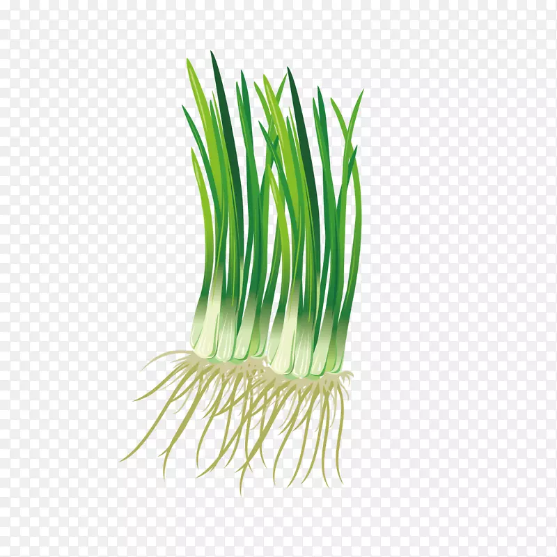 �ֻ�л�����ز�-������