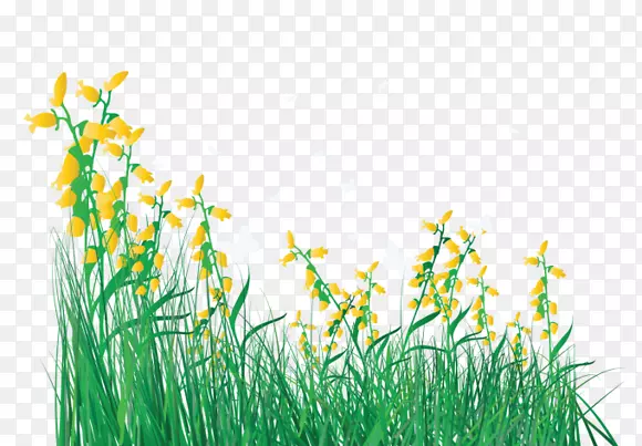 ��ɫ�Ĳ�-������