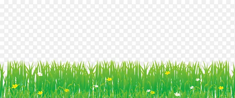 ��ɫ��С��-������