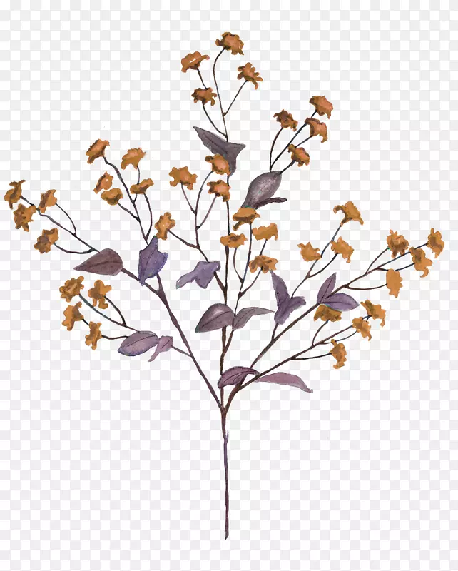 ��֦�Ͽ�ή�Ļ���-������