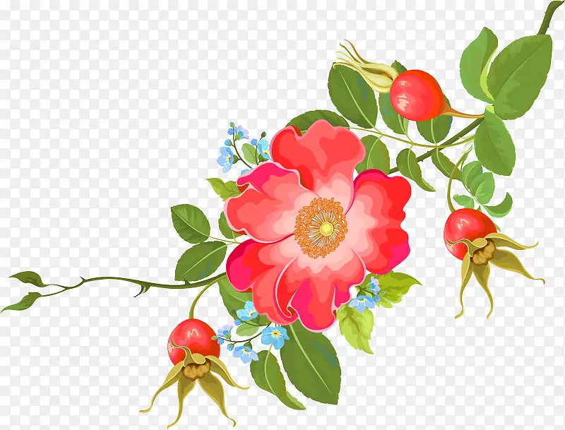 ��Ҷ�ϵĻ���-������