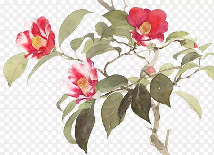 ֦ͷ�ϵ�С��-������