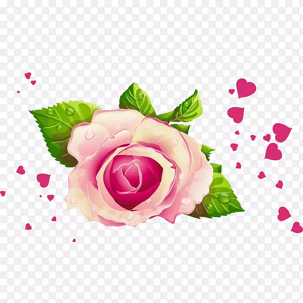 �ֻ�õ��ʸ��ͼ�������-������