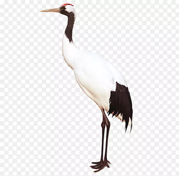 ������-������