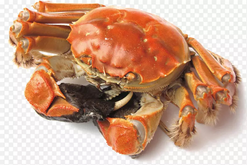 ��ͨ��Լ��ʳװ�ι������з-������