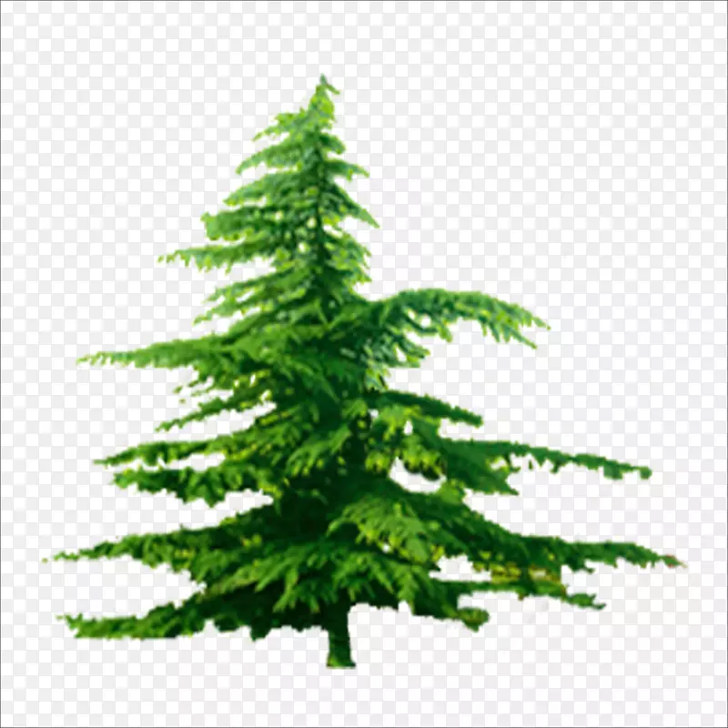 ����-������