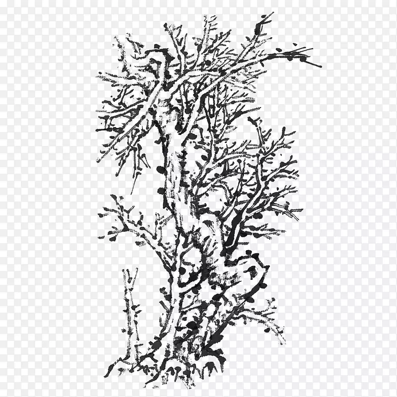 ֦Ҷ��ï�Ĺ����ֻ�-������