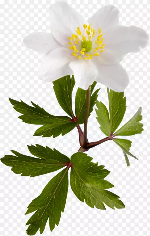 ˮ�ɻ�������-ˮ��-������