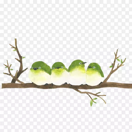 ��ֻС��վ��֦-������