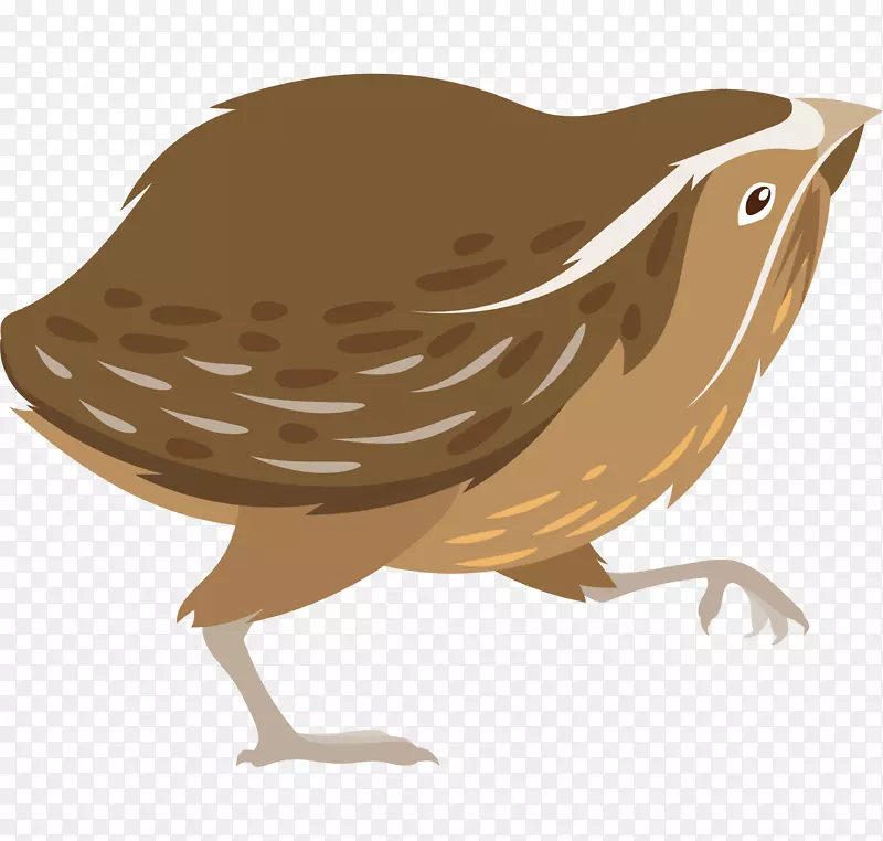 ��ͨ�ɰ�С����װ�ζ���ͷ��-������