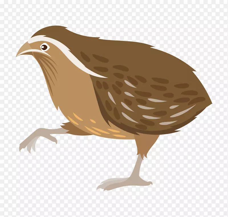 ��ͨ�ɰ�С����װ�ζ���ͷ��-������