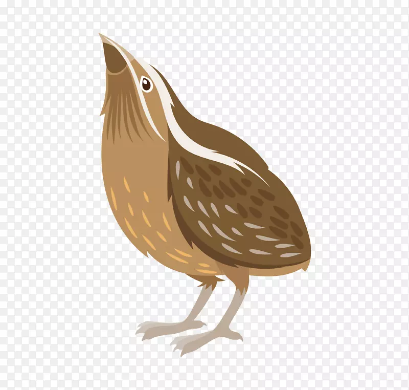 ��ͨ�ɰ�С����װ�ζ���ͷ��-������