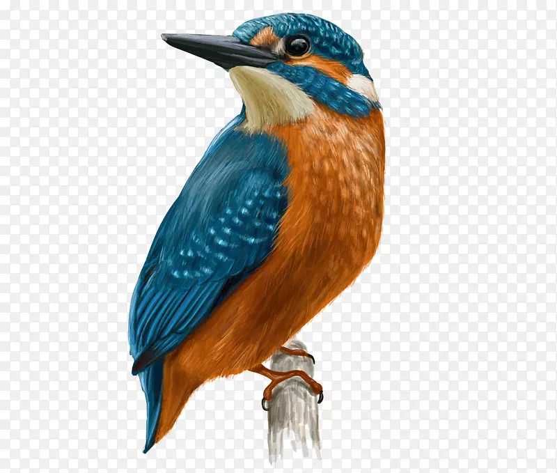 ��ͨ�ɰ�С����װ�ζ���ͷ��-������