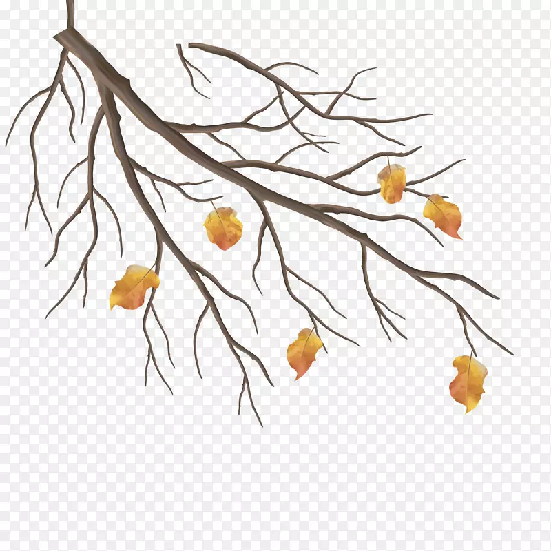 ʸ����֦����Ҷ-������