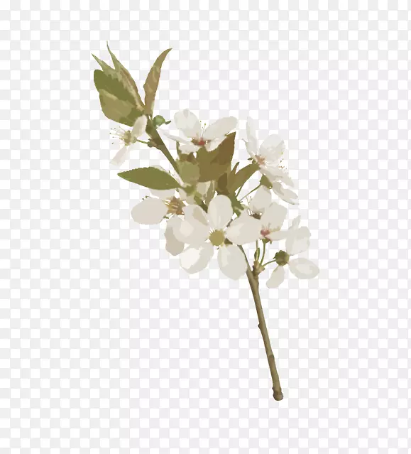 ��֦�ϵ���Ҷ���滨-������