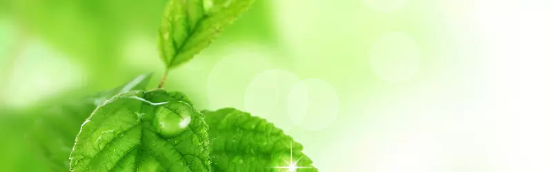 ������ɫ�λñ���-������