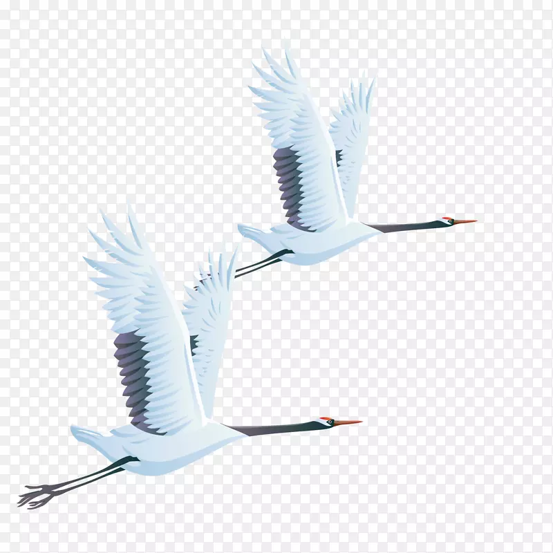 ��ͨ�ɺ�PNG����-������