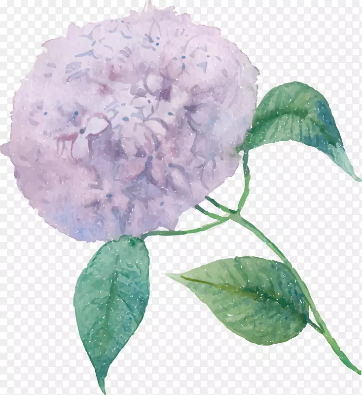 ˮ�ʻ���ֲ��-������