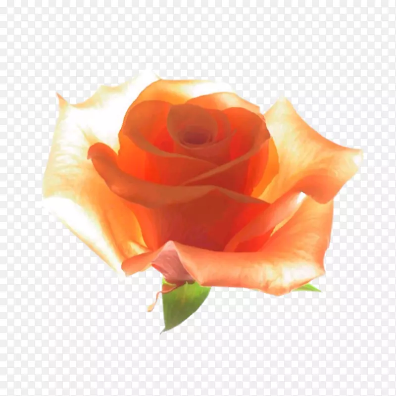 õ�廨ʸ��ͼԴ�ļ�-������