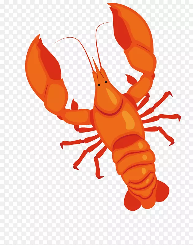 ��ͨ��Լ��ʳװ�ι�������Ϻ-������