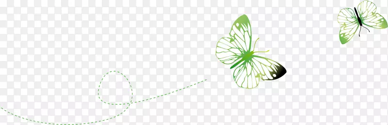 ��ɫ����Ԫ��-������