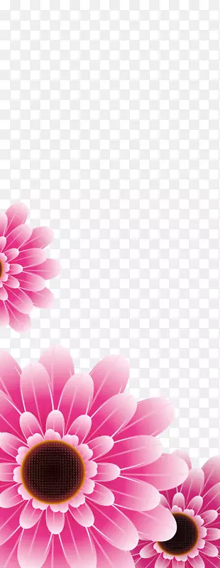 ��ɫ�ջ��ز�-������