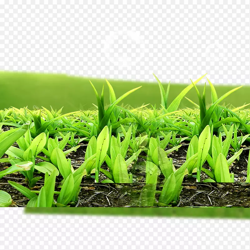 С��-������