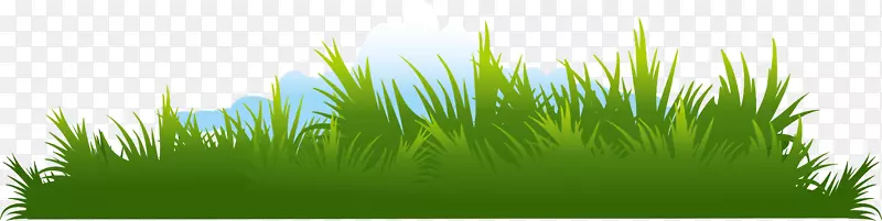 ��ɫС������Ԫ��-������