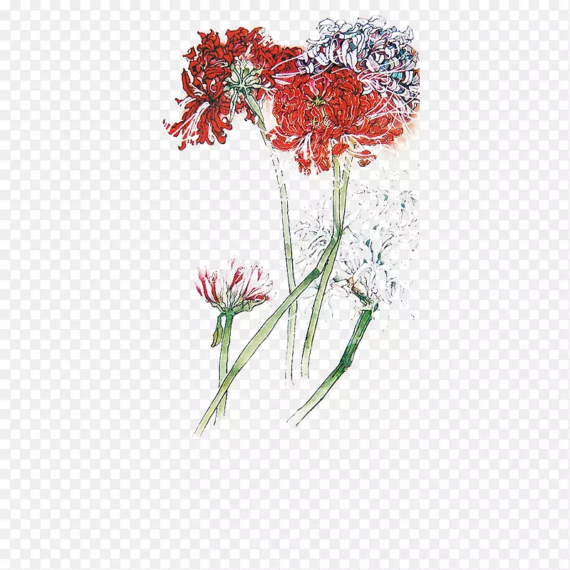 ��֦-������