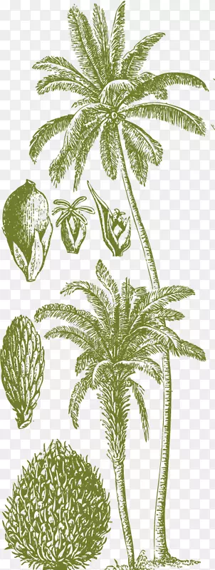 ī��ɫ������-������