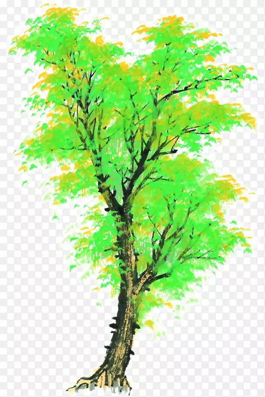 ��ɫװ����-������