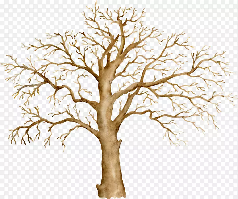 �������-������