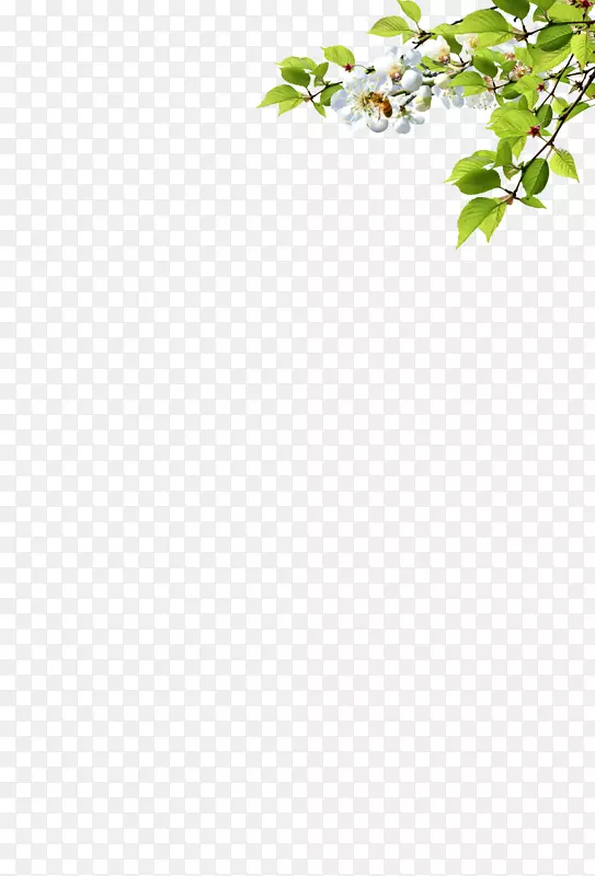 ��Ҷ�ͻ�-������