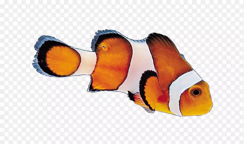 ��������-������