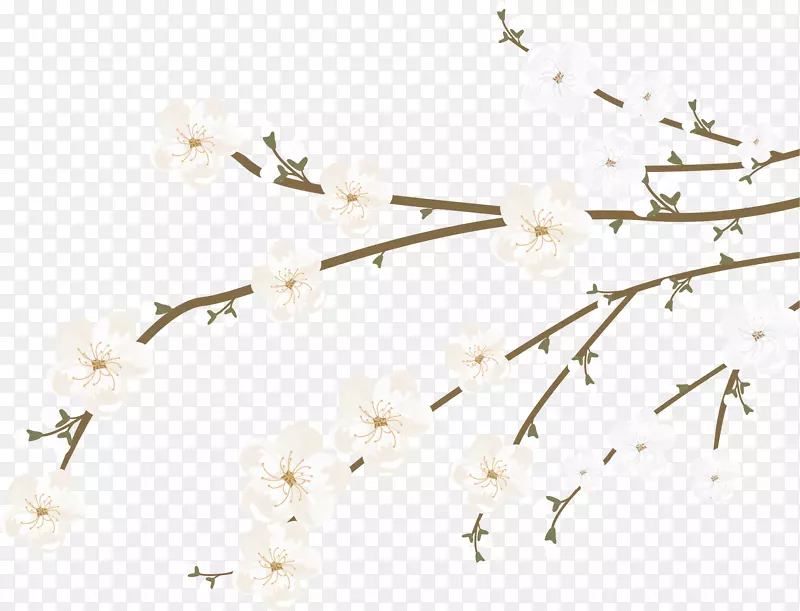 ʸ����ɫ�������֦-������