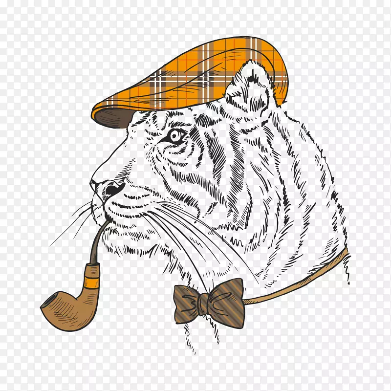 �ϻ���������-������