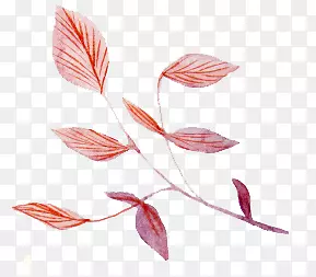 ��֦-������