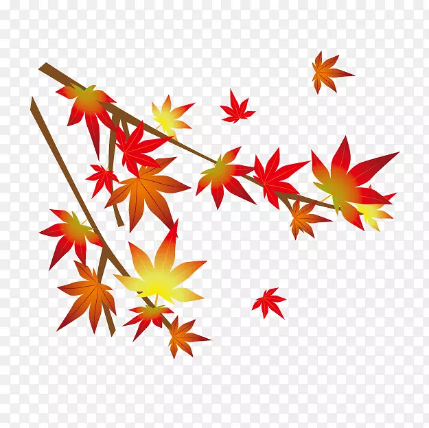 ��֦-������