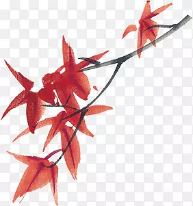 ��Ҷ-������